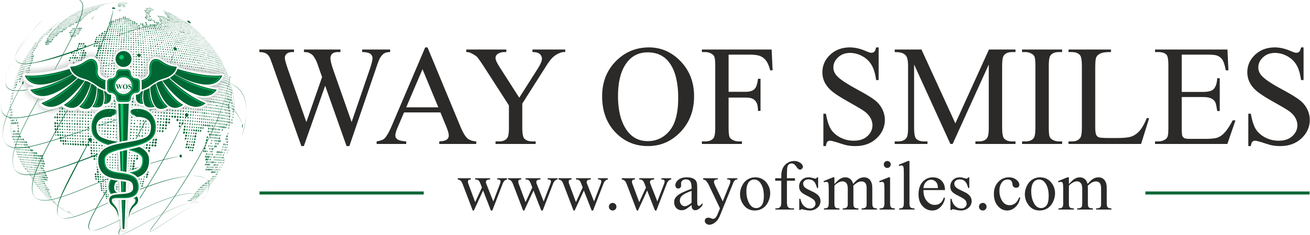 WAY OF SMILES SAĞLIK TURİZM ACENTASI